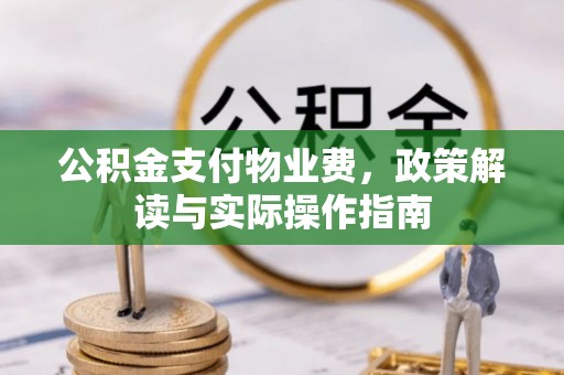 泸水公积金支付物业费，政策解读与实际操作指南