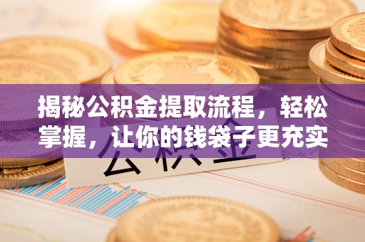 泸水揭秘公积金提取流程，轻松掌握，让你的钱袋子更充实