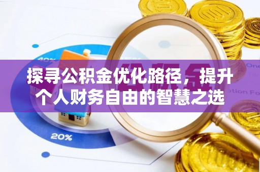 泸水探寻公积金优化路径，提升个人财务自由的智慧之选