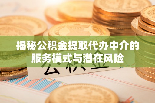 泸水揭秘公积金提取代办中介的服务模式与潜在风险