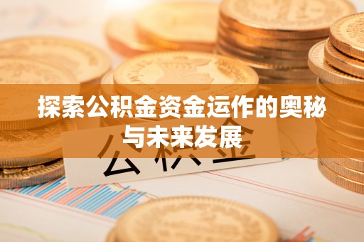 泸水探索公积金资金运作的奥秘与未来发展