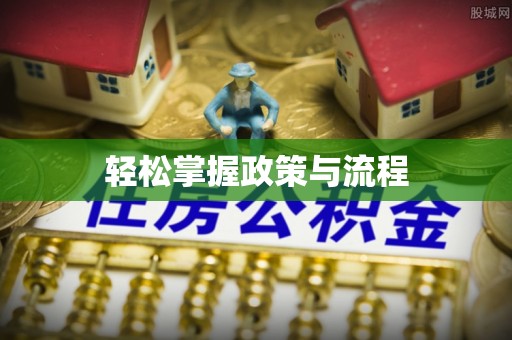 泸水轻松掌握政策与流程