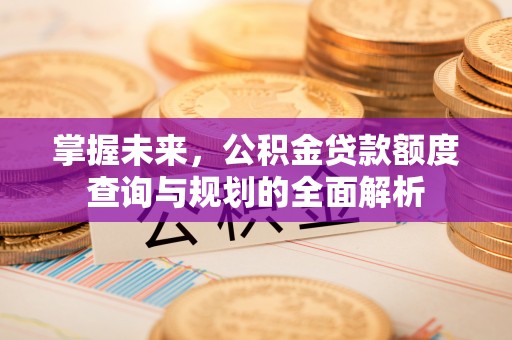 泸水掌握未来，公积金贷款额度查询与规划的全面解析