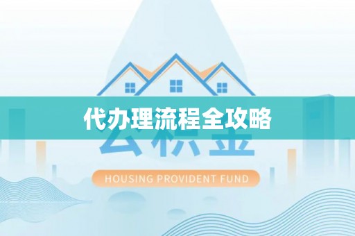 泸水代办理流程全攻略