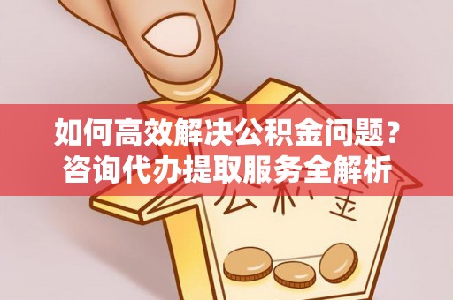 泸水如何高效解决公积金问题？咨询代办提取服务全解析
