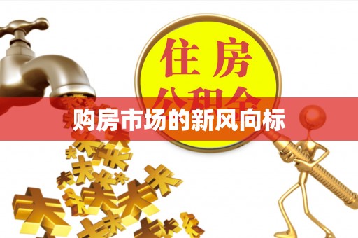 泸水购房市场的新风向标