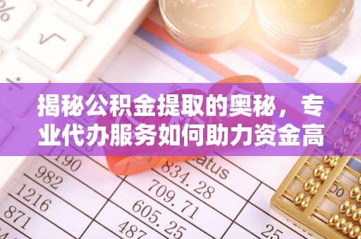 泸水揭秘公积金提取的奥秘，专业代办服务如何助力资金高效管理
