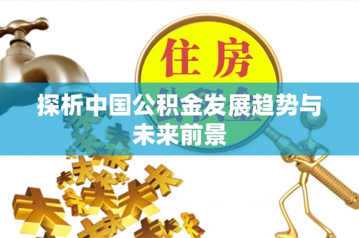 泸水探析中国公积金发展趋势与未来前景