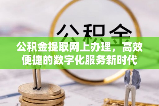 泸水公积金提取网上办理，高效便捷的数字化服务新时代