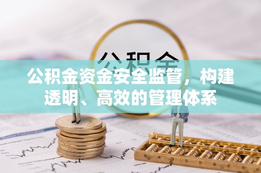 泸水公积金资金安全监管，构建透明、高效的管理体系
