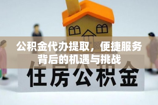 泸水公积金代办提取，便捷服务背后的机遇与挑战