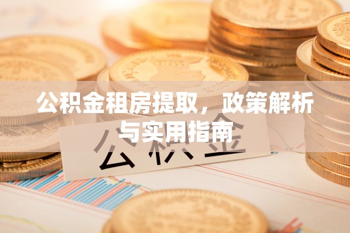 泸水公积金租房提取，政策解析与实用指南