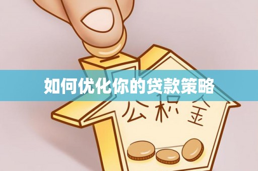 泸水如何优化你的贷款策略