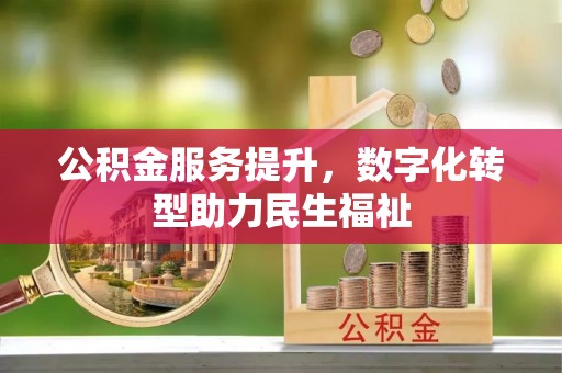 泸水公积金服务提升，数字化转型助力民生福祉