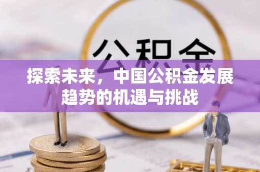 泸水探索未来，中国公积金发展趋势的机遇与挑战