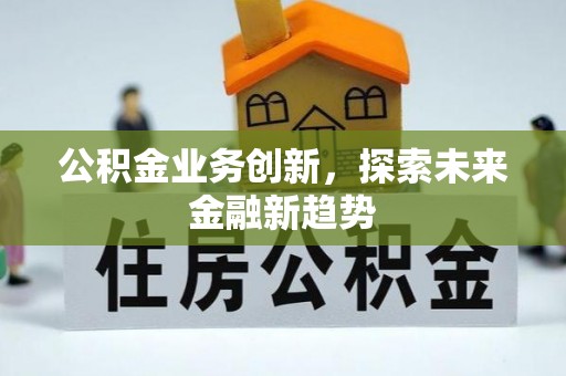 泸水公积金业务创新，探索未来金融新趋势