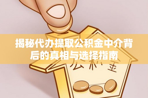 泸水揭秘代办提取公积金中介背后的真相与选择指南