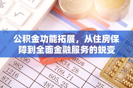 泸水公积金功能拓展，从住房保障到全面金融服务的蜕变