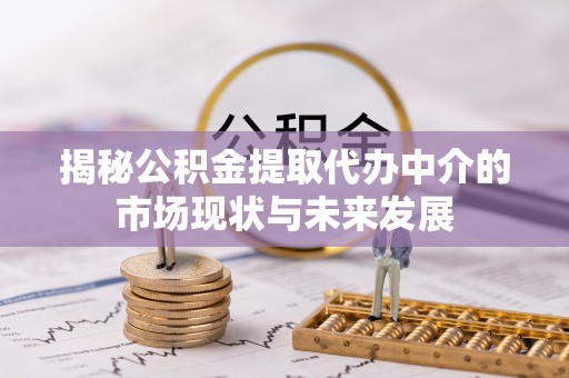 泸水揭秘公积金提取代办中介的市场现状与未来发展