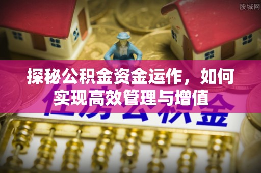泸水探秘公积金资金运作，如何实现高效管理与增值