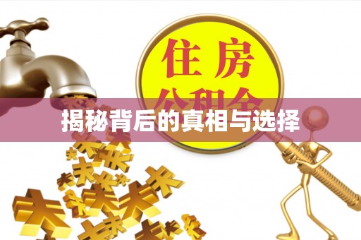 泸水揭秘背后的真相与选择
