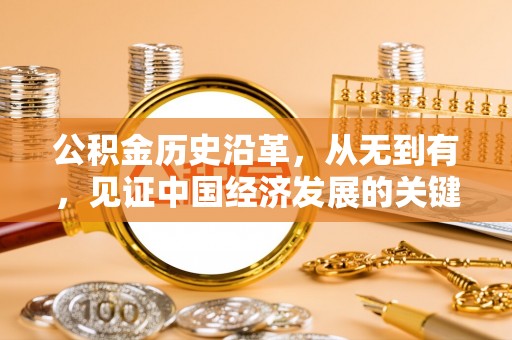 泸水公积金历史沿革，从无到有，见证中国经济发展的关键一步
