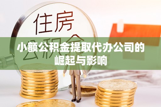 泸水小额公积金提取代办公司的崛起与影响