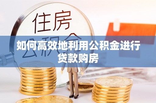 泸水如何高效地利用公积金进行贷款购房