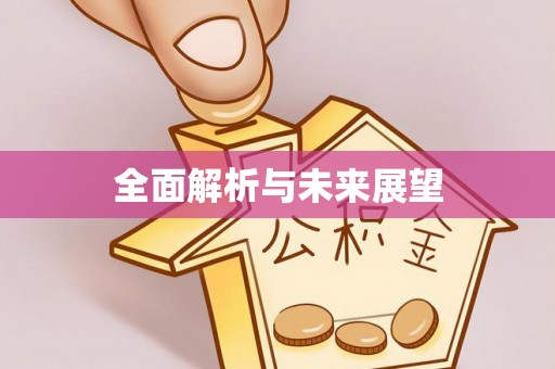 泸水全面解析与未来展望