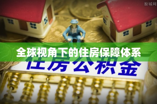 泸水全球视角下的住房保障体系