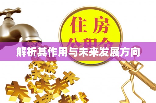 泸水解析其作用与未来发展方向