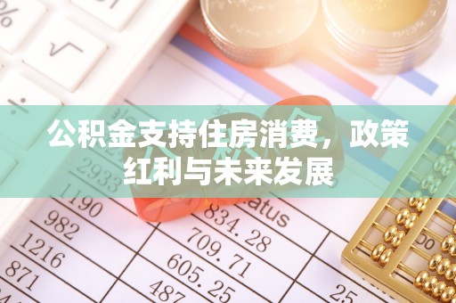 泸水公积金支持住房消费，政策红利与未来发展