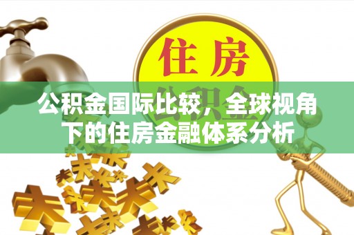 泸水公积金国际比较，全球视角下的住房金融体系分析