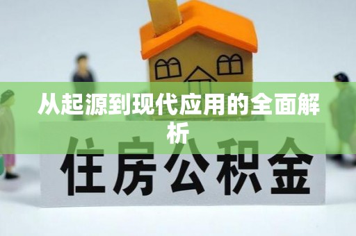泸水从起源到现代应用的全面解析