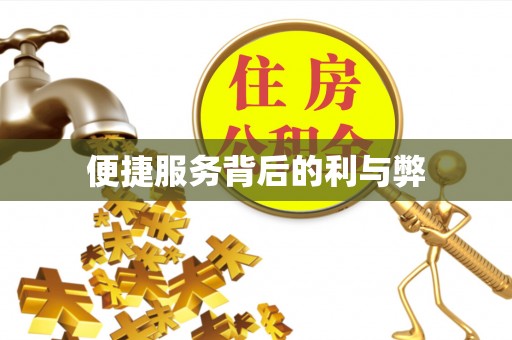 泸水便捷服务背后的利与弊