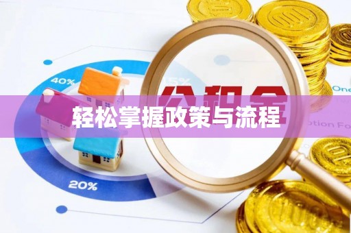 泸水轻松掌握政策与流程
