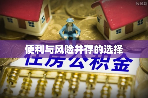 泸水便利与风险并存的选择