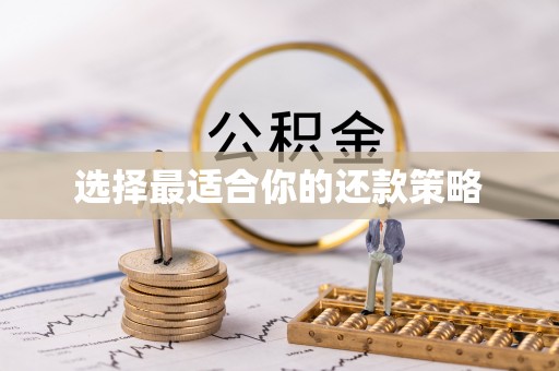 泸水选择最适合你的还款策略