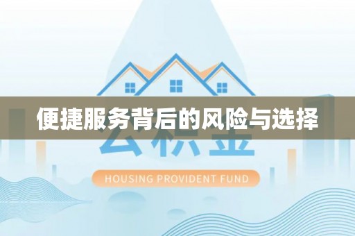 泸水便捷服务背后的风险与选择