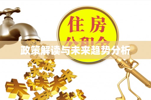泸水政策解读与未来趋势分析