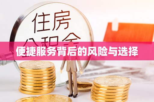 泸水便捷服务背后的风险与选择