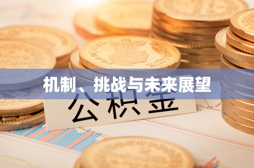 泸水机制、挑战与未来展望