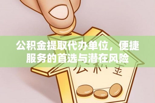 泸水公积金提取代办单位，便捷服务的首选与潜在风险