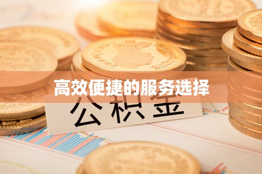 泸水高效便捷的服务选择