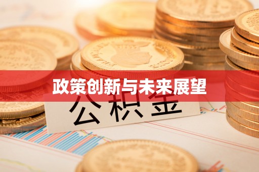 泸水政策创新与未来展望