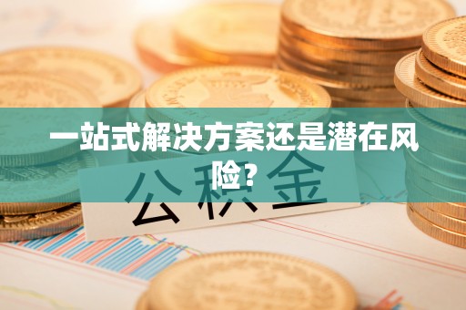 泸水一站式解决方案还是潜在风险？