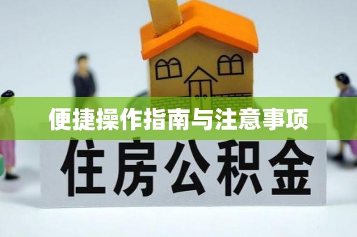 泸水便捷操作指南与注意事项