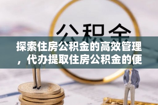 泸水探索住房公积金的高效管理，代办提取住房公积金的便利与注意事项