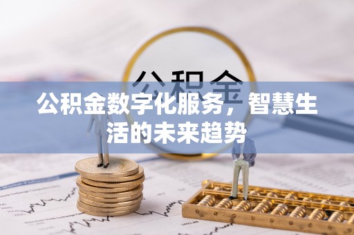 泸水公积金数字化服务，智慧生活的未来趋势