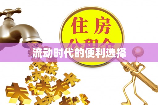 泸水流动时代的便利选择